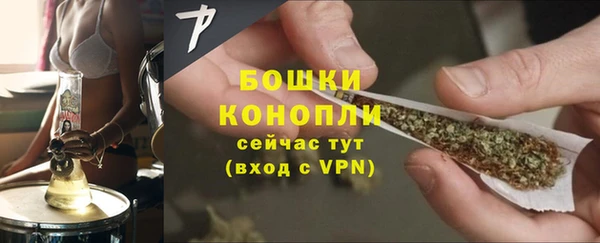 мдпв Волоколамск