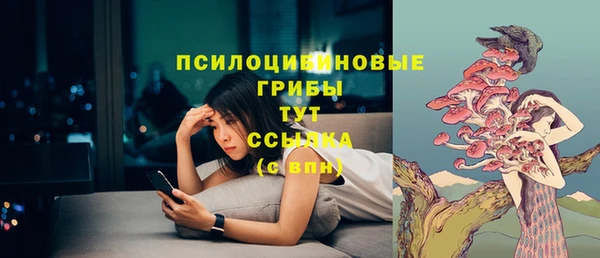 прущий лед Вязники