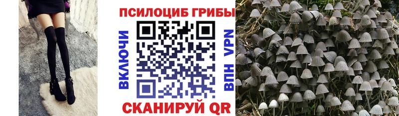 Галлюциногенные грибы мухоморы  купить закладку  kraken маркетплейс  Элиста 